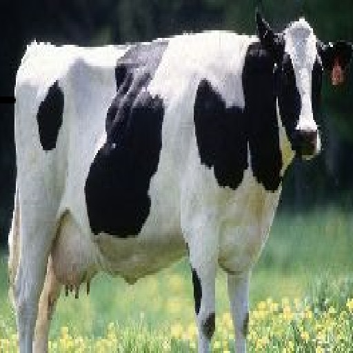 Cattle Feed Formulation lb logo