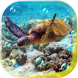 Tortoises Sea icon