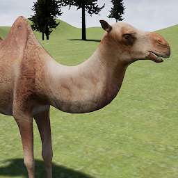 Happy Camel Simulator: Download & Review