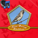 Master Burung Blackthroat Mp3 icon