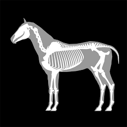Icon image 3D Horse Anatomy
