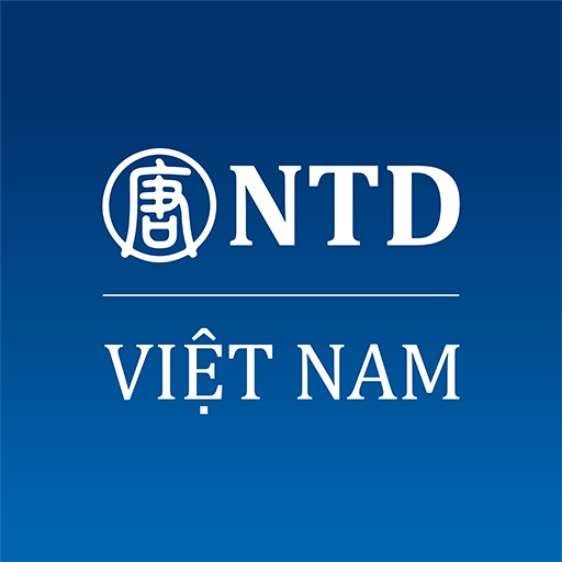 NTD Việt Nam  Icon