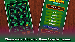 Einstein's Riddle Logic Puzzle screenshot