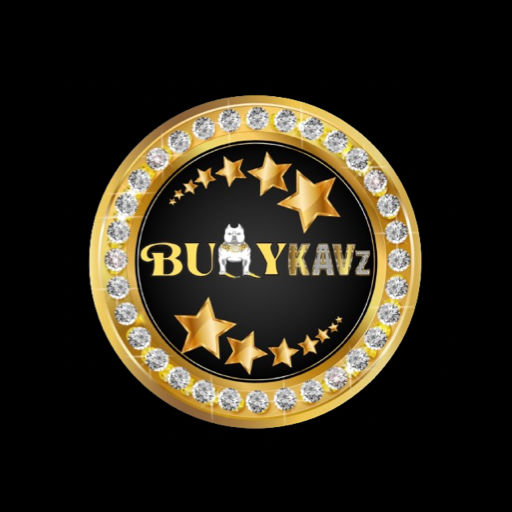 BULLYKAVz logo