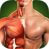 Human Anatomy 3D icon