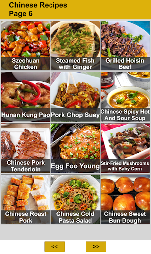 100 Chinese Food Recipes Screen 3