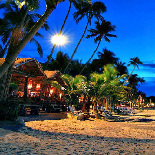 Beach HD Wallpapers logo