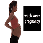 Cover Image of डाउनलोड week week pregnancy  APK