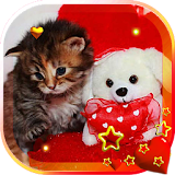 Valentine Kitty live wallpaper icon