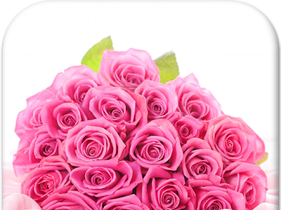√100以上 待ち受け ピンク 薔薇 壁紙 スマホ 413855