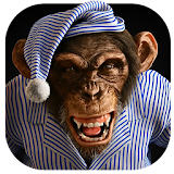 Angry Monkey 3D Live Wallpaper icon