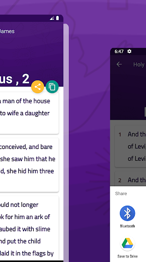Holy Bible King James Screen 3