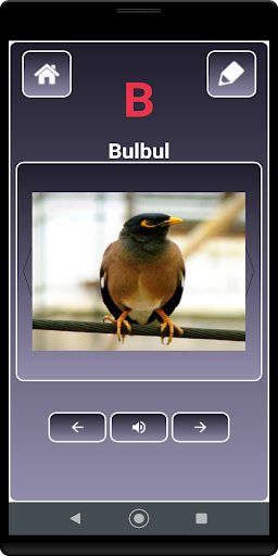 A to Z Birds Name Screen 2