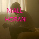 Niall Horan Songs 2017 icon