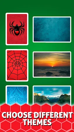 Game screenshot Spider Solitaire Classic apk download