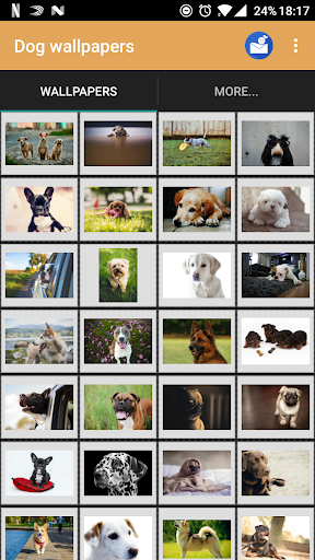 Android application Dog wallpapers and funny pics screenshort