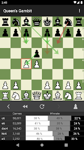 13 Types of Chess Openings –