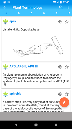 Plant Terminology A-Z Complete
