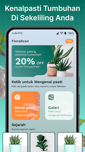 Pratinjau aplikasi