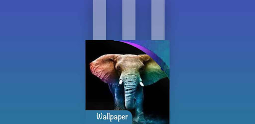 image elephant wallpaper