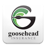 Goosehead Insurance icon