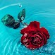 Rosely - Rose wallpapers HD - Androidアプリ
