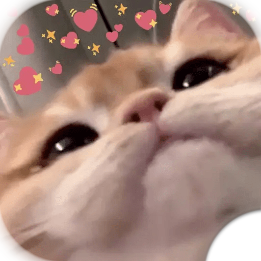 UwU Stickers Animados uwu logo