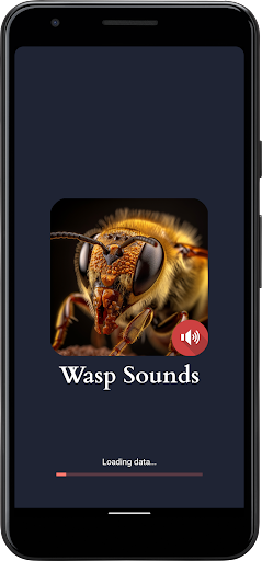 Android application Wasp Sounds screenshort