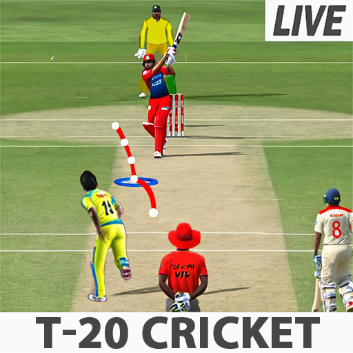 Indian Cricket Match Game 3D