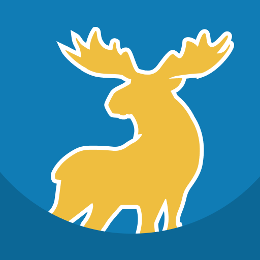 Наш Миасс logo