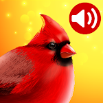 Cover Image of Скачать Bird Songs: Ringtones 1.0 APK