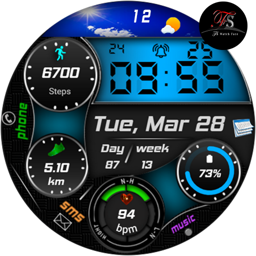 FSW224 WATCHFACE logo
