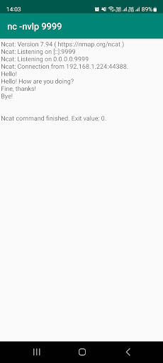nc - Netcat for Android Screen 2