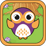 Owl Evolution icon