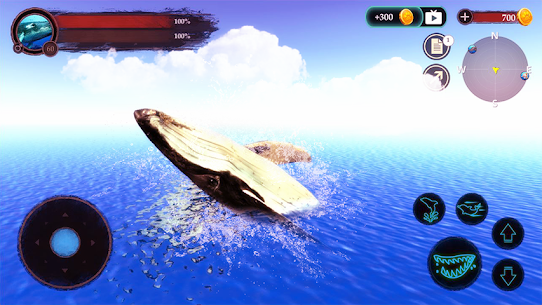 The Humpback Whales 2