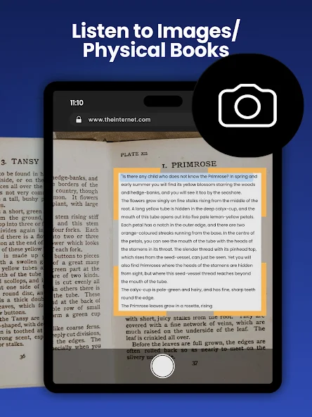 NaturalReader - Text to Speech Frame Grabs 24