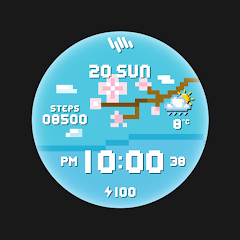 Icon image