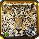 Leopard Free live wallpaper icon