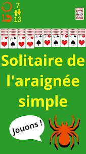 Araignée Solitaire MINI