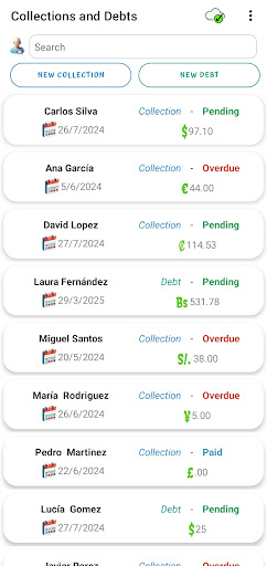 Collections and Debts Screen 2