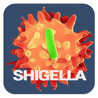 Shigella Disease