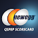 Newegg QSPEP Scorecard icon