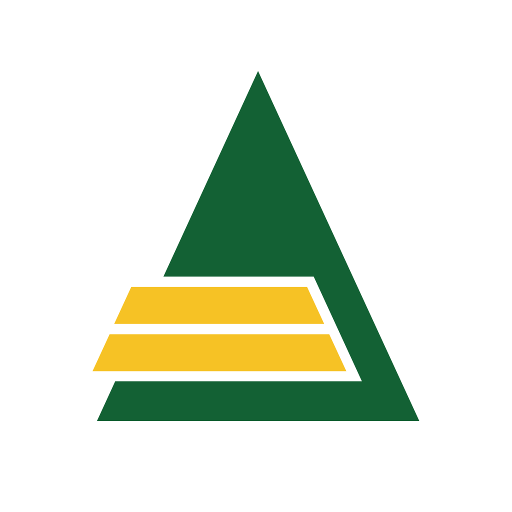VLS AR logo