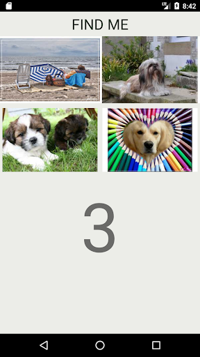 How Many Of These Dog Breeds D Screen 3