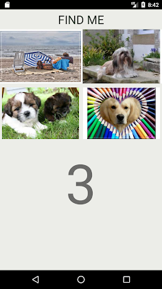 How Many Of These Dog Breeds D - Screenshot 3