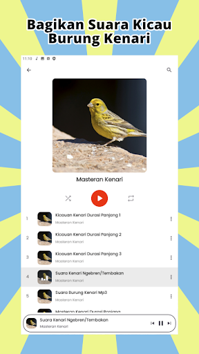 Kicau Burung Kenari MP3