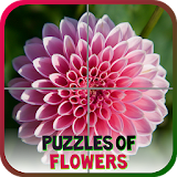 Puzzles of Flowers Free icon