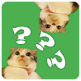 Ask a Cat icon