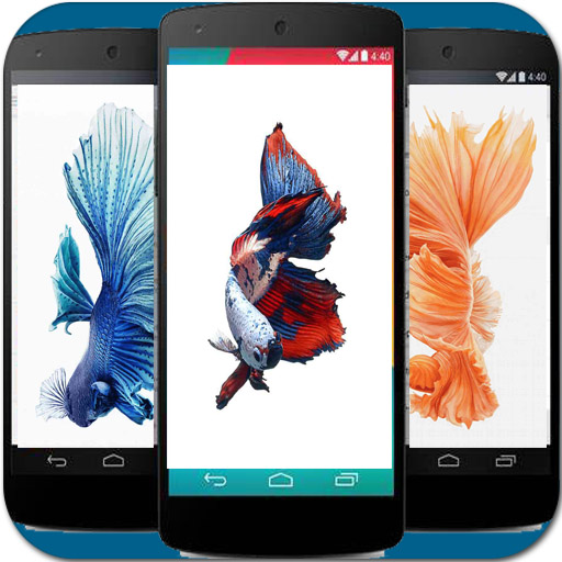 Betta Fish Phone Wallpaper logo