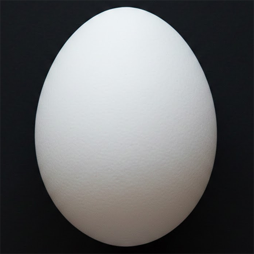 Eggspert